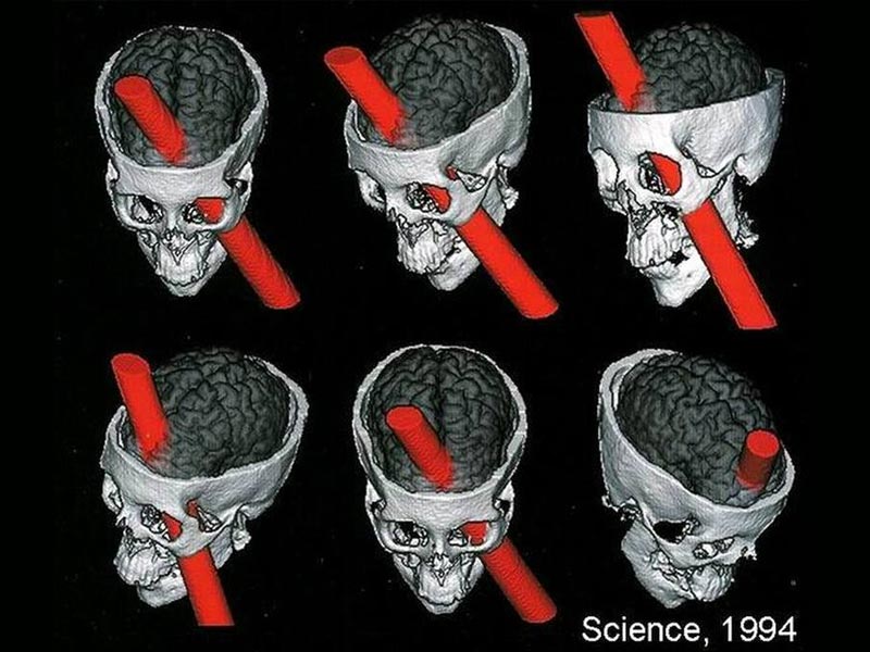 CAMBIARE CERVELLO – CAMBIARE CARATTERE